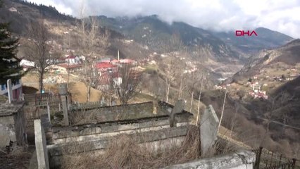 Trabzon Defineciler Tarihi Mezarı Kazdı, Jandarma Harekete Geçti