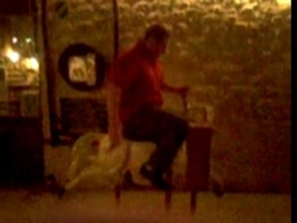 L'homme qui murmurait à l'oreille des chevaux