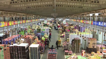 50 ans du marché de Rungis: des anciens se souviennent