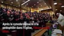 Pédophilie dans l'Église : le pape déçoit