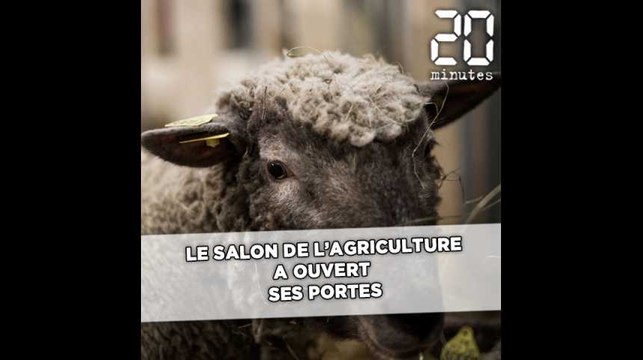Le salon de l'Agriculture a ouvert ses portes