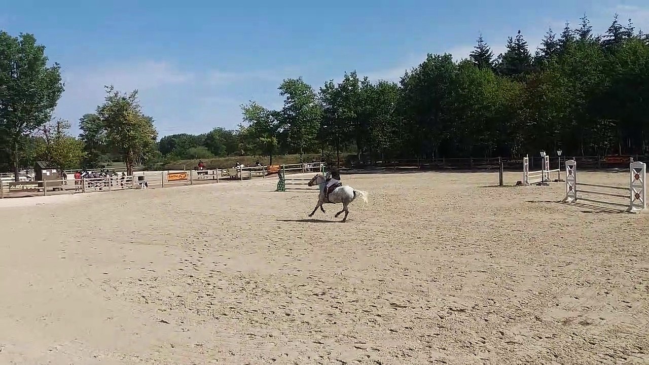 Ambitieuse D'Angrie Poney 1