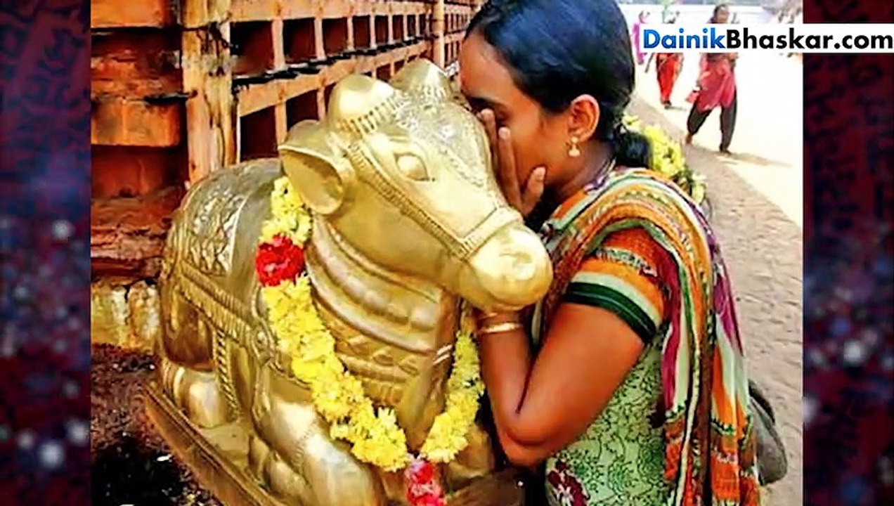 Bhaskar videos