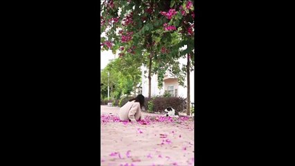 La superbe réaction de ce chien qui voit une personne faire un (faux) malaise