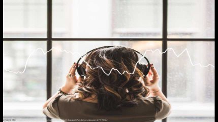 Minute Papillon! Flash info midi  - 25 février 2019