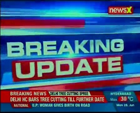 Delhi HC on Tree felling row in South Delhi, says no trees to be cut