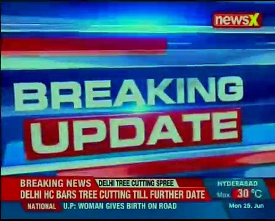 Delhi HC on Tree felling row in South Delhi, says no trees to be cut