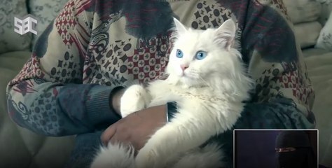 اعتزل الناس وتصادق مع الحويانات .. قصة مؤثرة لطفل يتعرض للتنمر بسبب أمه