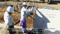 FUJI Precast Earth Retaining Wall
