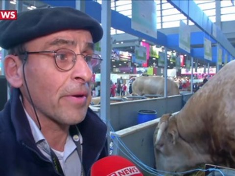 L'agriculture, premier secteur émetteur de gaz à effet de serre