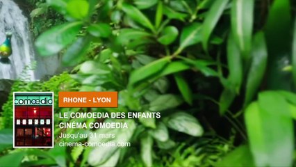 Toutes vos sorties dans la région Auvergne Rhône Alpes!