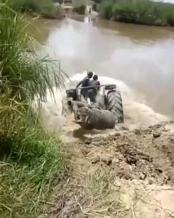 TAZAMA AKILI ZA HAWA JAMAA