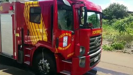 Lagarto é resgatado pelo Corpo de Bombeiros na Rua Oliva