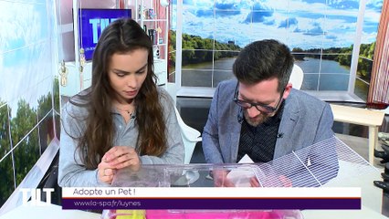 TILT - 25/02/2019 Partie 2 - Adopte un pet