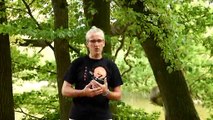 Online Tai Chi leren? Natuurlijk met Douwe Geluk van Tai Chi Apeldoorn!