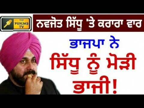 ਨਵਜੋਤ ਸਿੱਧੂ 'ਤੇ ਕਰਾਰਾ ਵਾਰ Navjot Sidhu should go to TV: BJP || The Punjab TV | Punjabi News Channel