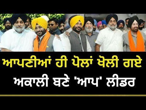 ਨਵੇਂ ਅਕਾਲੀ ਬਣੇ ਆਪ ਲੀਡਰਾਂ ਨੇ ਖੋਲ੍ਹੀਆਂ ਆਪਣੀਆਂ ਹੀ ਪੋਲਾਂ AAP leader exposed themselves in front of media