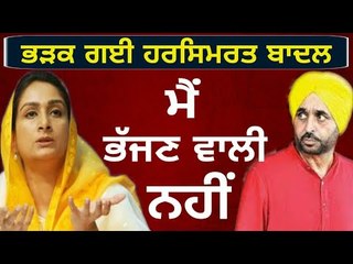 ਗੁੱਸੇ ਵਿੱਚ ਹਰਸਿਮਰਤ ਬਾਦਲ ਦਾ ਜਵਾਬ Harsimrat Badal reply to Bhagwant Mann's statement