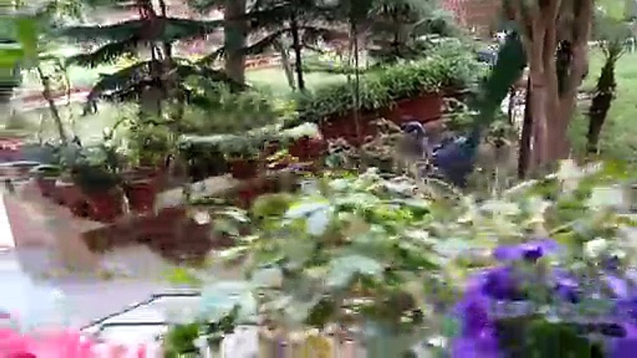 Secret garden!!!