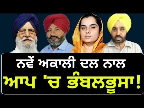 ਟਕਸਾਲੀਆਂ ਦੇ ਚੱਕਰਵਿਊ 'ਚ ਉਲਝੇ ਆਪ ਨੇਤਾ AAP is confused on Shiromani Akali Dal Taksali