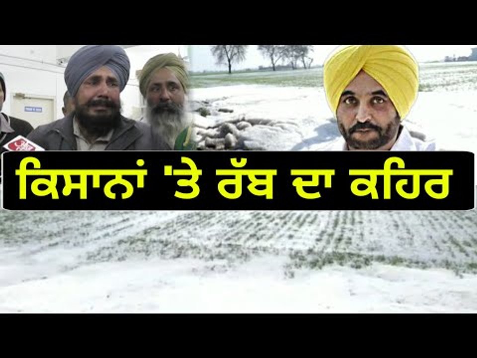ਰੋ-ਰੋ ਕੇ ਕਿਸਾਨਾਂ ਨੇ ਦੱਸਿਆ ਆਪਣਾ ਹਾਲ Bhagwant Man...