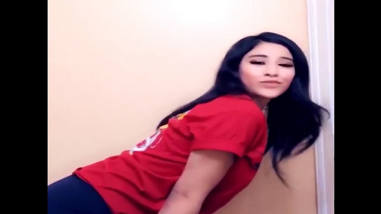 funny animal videos