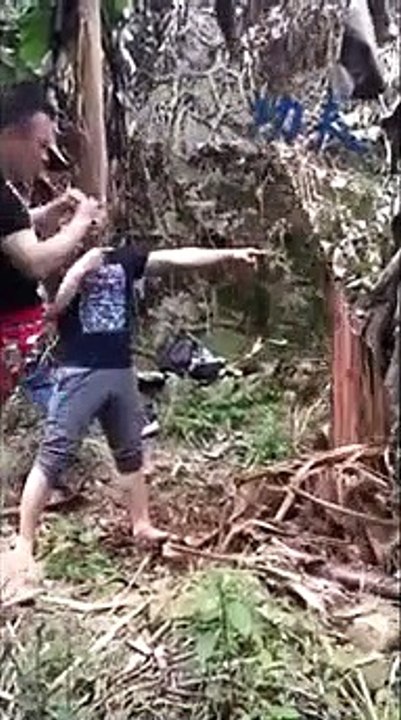 Ce maître d'arts martiaux détruit un arbre à coup de pied