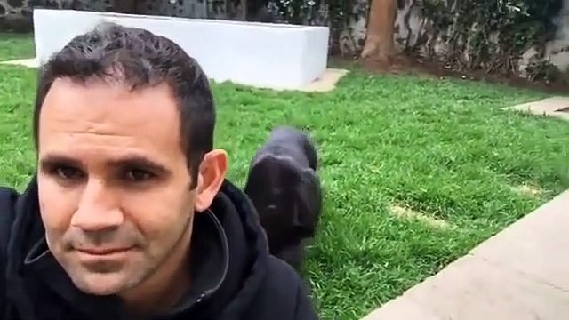 Son jaguar a décidé de lui faire une petite frayeur... félin en mode chasseur