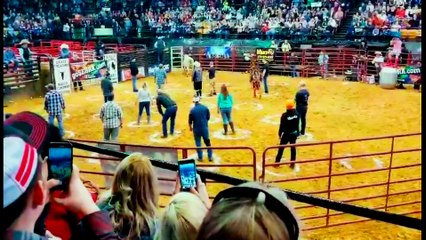 Bull Tosses Contestants During Cowboy Pinball