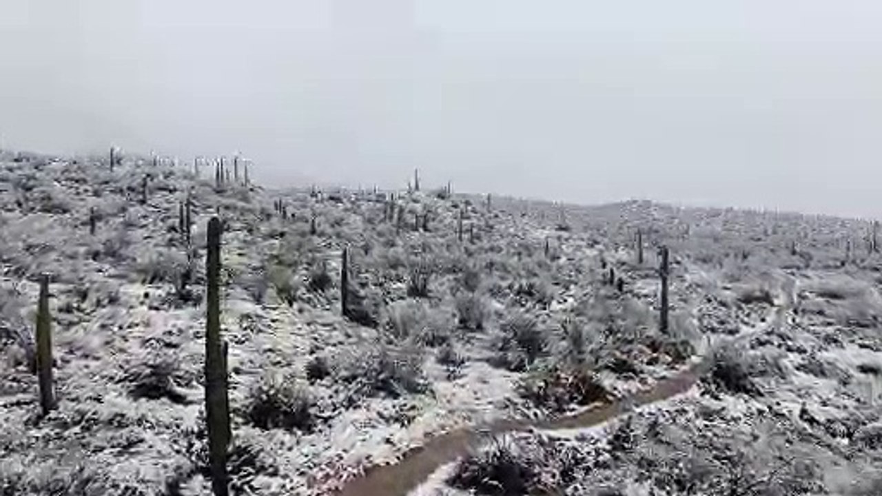 Breathtaking Footage of Snowfall in the Desert