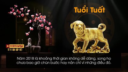4 con giáp có đường Quan - Lộc vượng phát nhất trong suốt năm 2019