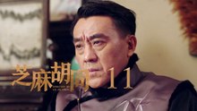 芝麻胡同 11 | Memories Of Peking 11（何冰、王鷗、劉蓓等主演）