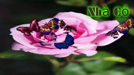 Audio đam mỹ: Dị Thế Lưu Đày:  22-24