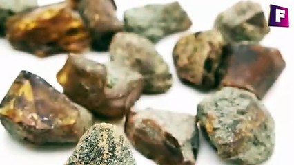 Avance - Ambar - caracteristicas principales, formacion y falsificaciones  | foro-de-minerales y paleomania