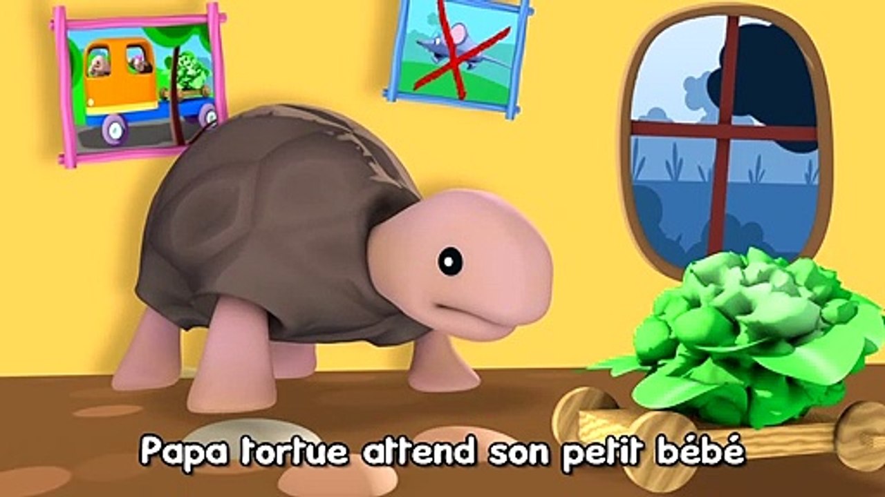 La Tortue Attendue