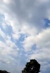 Video_2019-02-25_010307