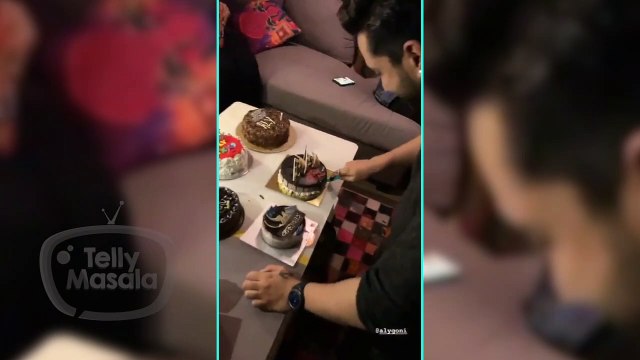 Khatron Ke Khiladi 9 Aly Goni Birthday Celebration | Bharti Singh, Zain Imam, Karan Patel