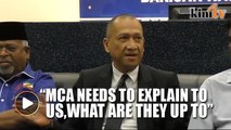 Nazri: If MCA wants to leave BN, they should just leave