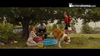 A Dog's Journey - Fragman