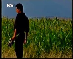 ΑΝΕΜΩΝΑ ΔΗΜΗΤΡΗΣ ΚΟΚΟΤΑΣ