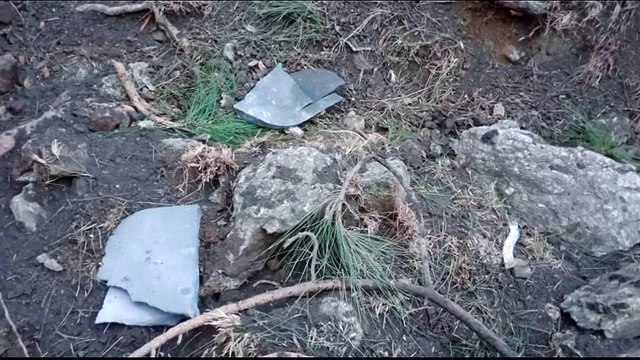 Pakistan army says Indian jets violate airspace, release payload