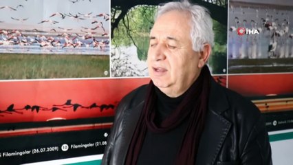 Turnalar, Seyfe Gölü'nde görsel şölen oluşturdu