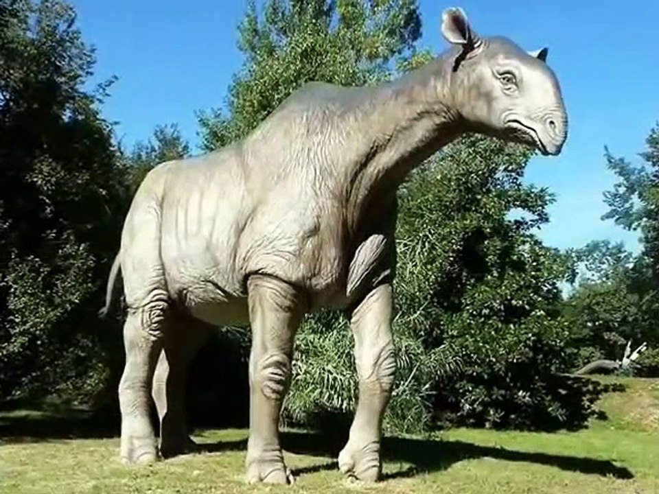 World's Biggest Animals Ever - Amazing ( 480 X...