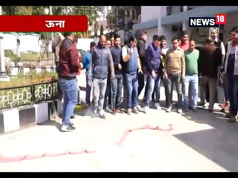 ऊना में भाजयुमो कार्यकर्ताओं ने पटाखे फोड़ कर मनाया जश्न-bjym have celebrated by bursting firecrackers in Una