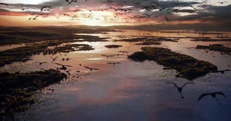 THE LION KING : New TV SPOT - 2019 Disney