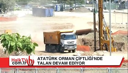 Atatürk Orman Çiftliği'nde talan devam ediyor!