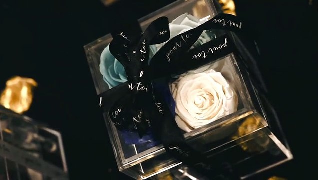 Preserved Roses Toronto