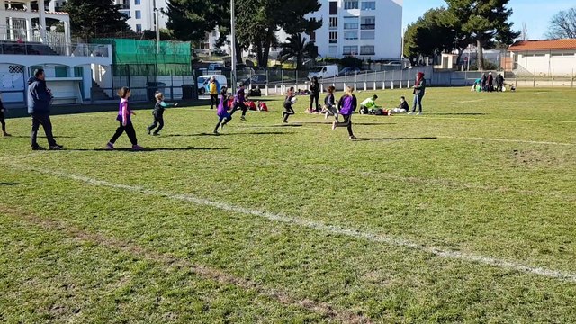 TOP 14 des écoles élémentaires