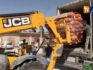 الوادي/ دفعات من البطاطا الجزائرية بإتجاه جزر الكناري