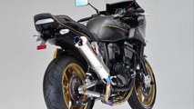 2019 Kawasaki ZRX1200 Limited Special Edition | Kawasaki ZRX-1200R Custom By BEET | Mich motorcycle